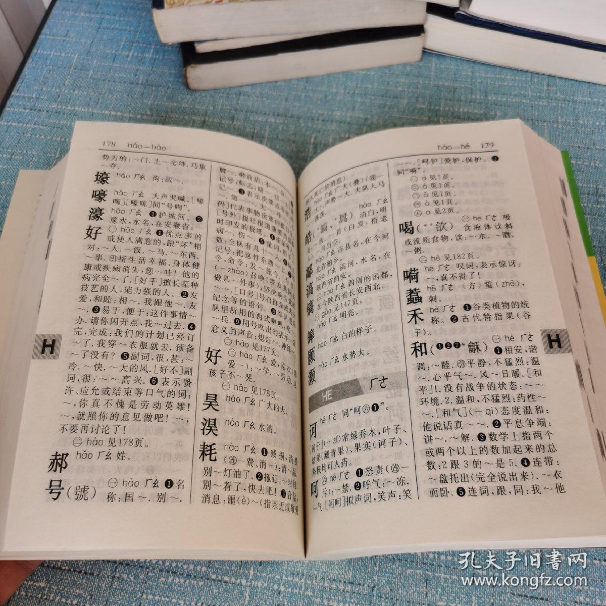 最新新华字典电子版,最新新华字典电子版，时代背景下的汉语宝典