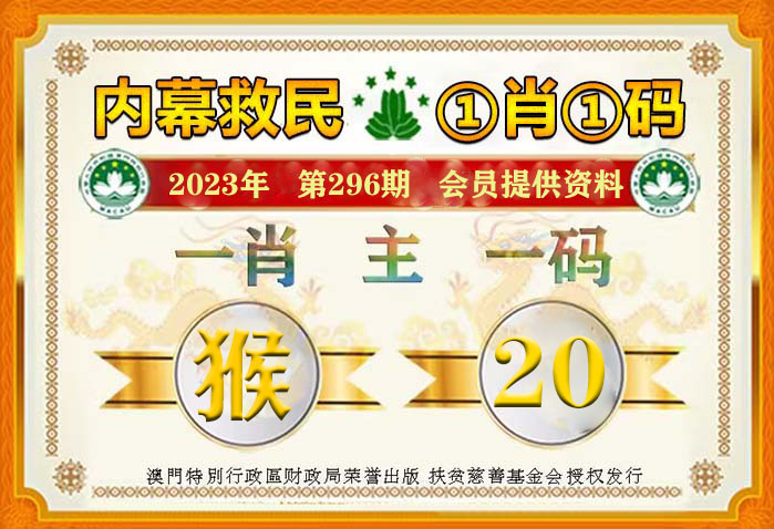一肖一码100%中,专家解说解释定义_丰富版17.355