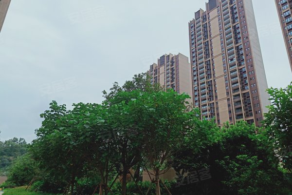 平沙时代港房产最新价格，时代印记与变迁轨迹的交汇点