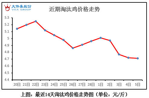 全国淘汰鸡行情与小街独特风味概览