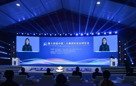 国内设计比赛引领科技潮流，重塑生活体验新篇章