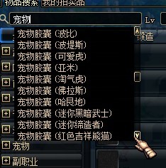 DNF最新宠物盘点，科技魅力引领颠覆体验新纪元