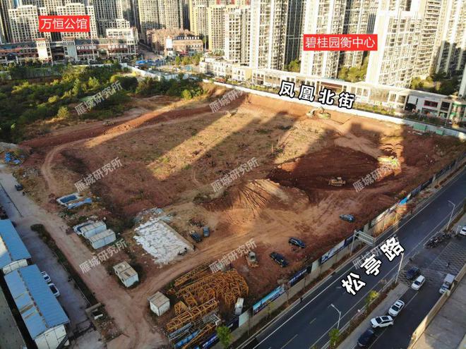 衡阳脉搏跳动，最新动态一览无余！