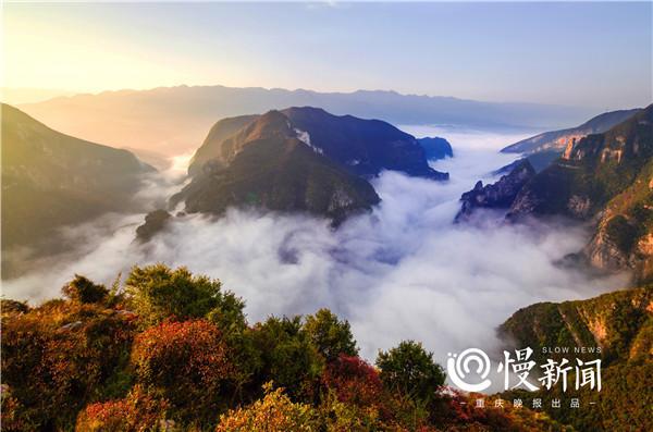 巫山肺炎最新情况与小巷深处的独特风味